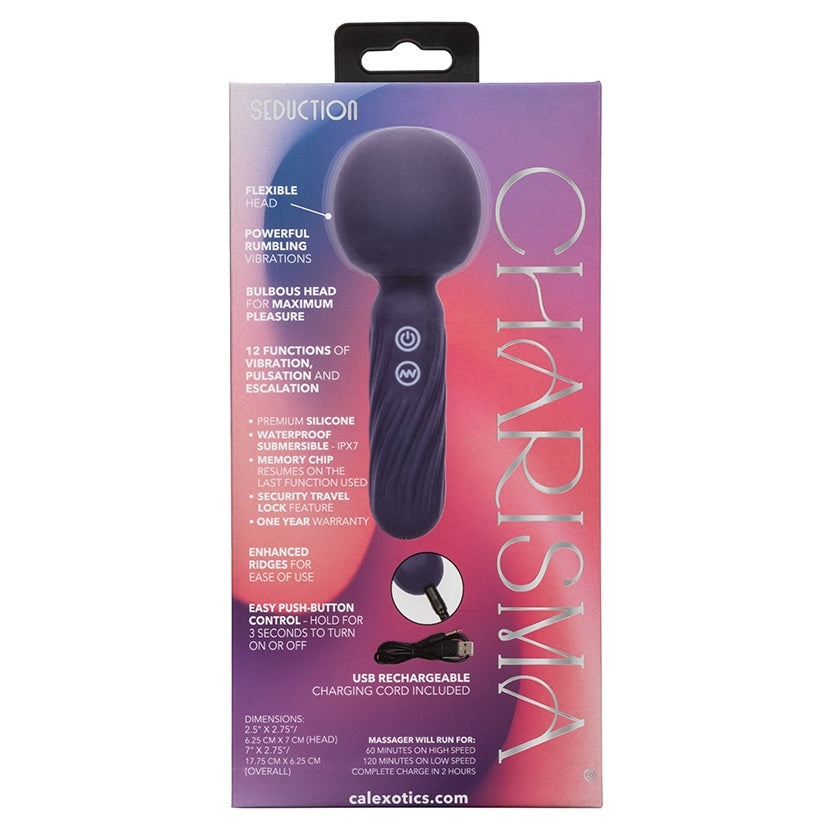 Product packaging for a massage tool with branding and features listed.