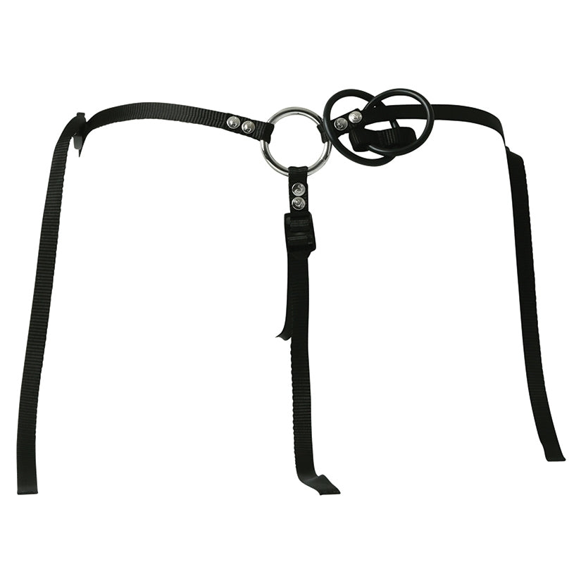 Sportsheets Menage A Trois Double Penetration Harnes & Dildo Set – product image 3