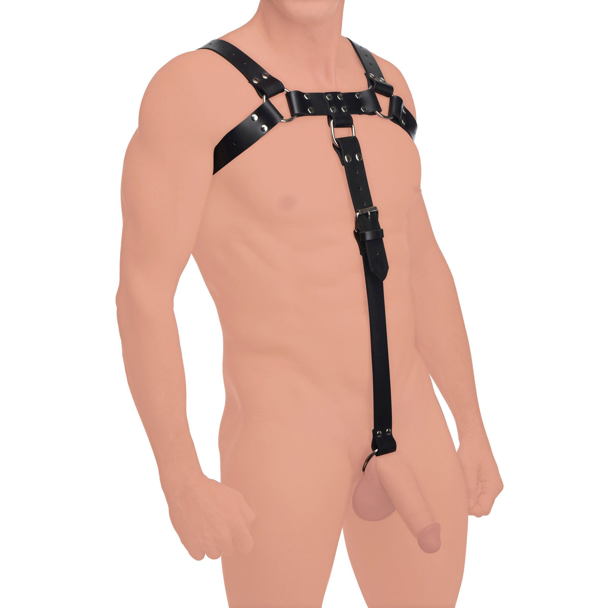 Strict Leather English Bulldog chest harness with cock strap